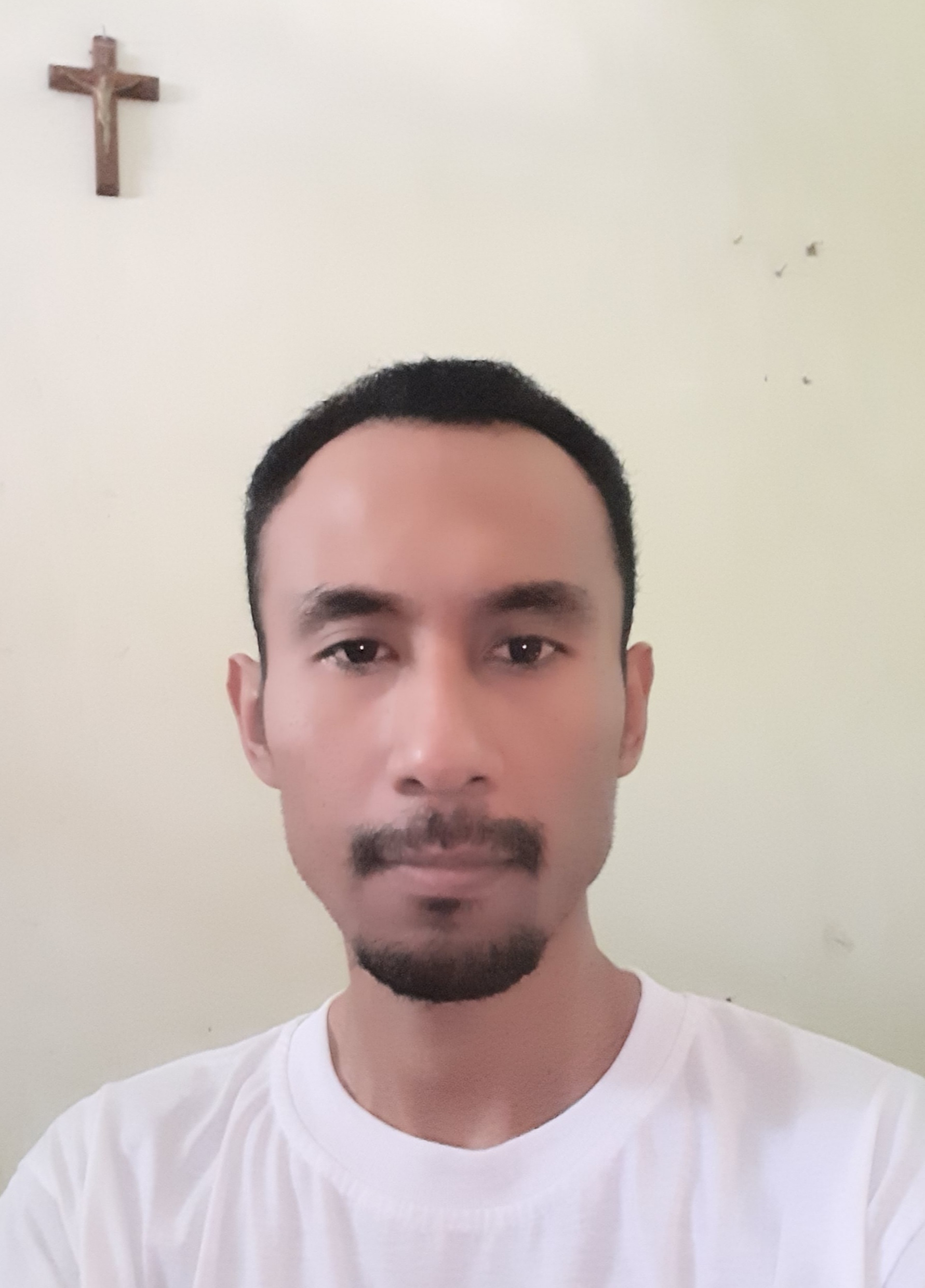 Freid Floresa Bilistolen